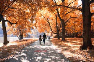 欧洲国际友谊赛：德国队胜英格兰队，实力获认可