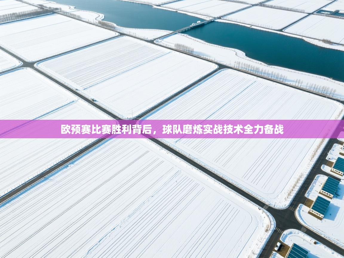 欧预赛比赛胜利背后，球队磨炼实战技术全力备战