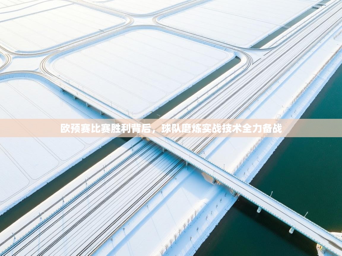欧预赛比赛胜利背后，球队磨炼实战技术全力备战  第2张