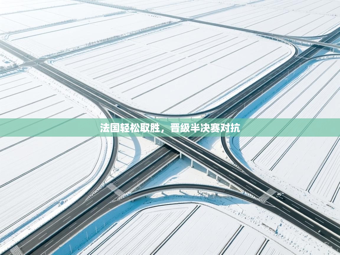 法国轻松取胜，晋级半决赛对抗  第2张