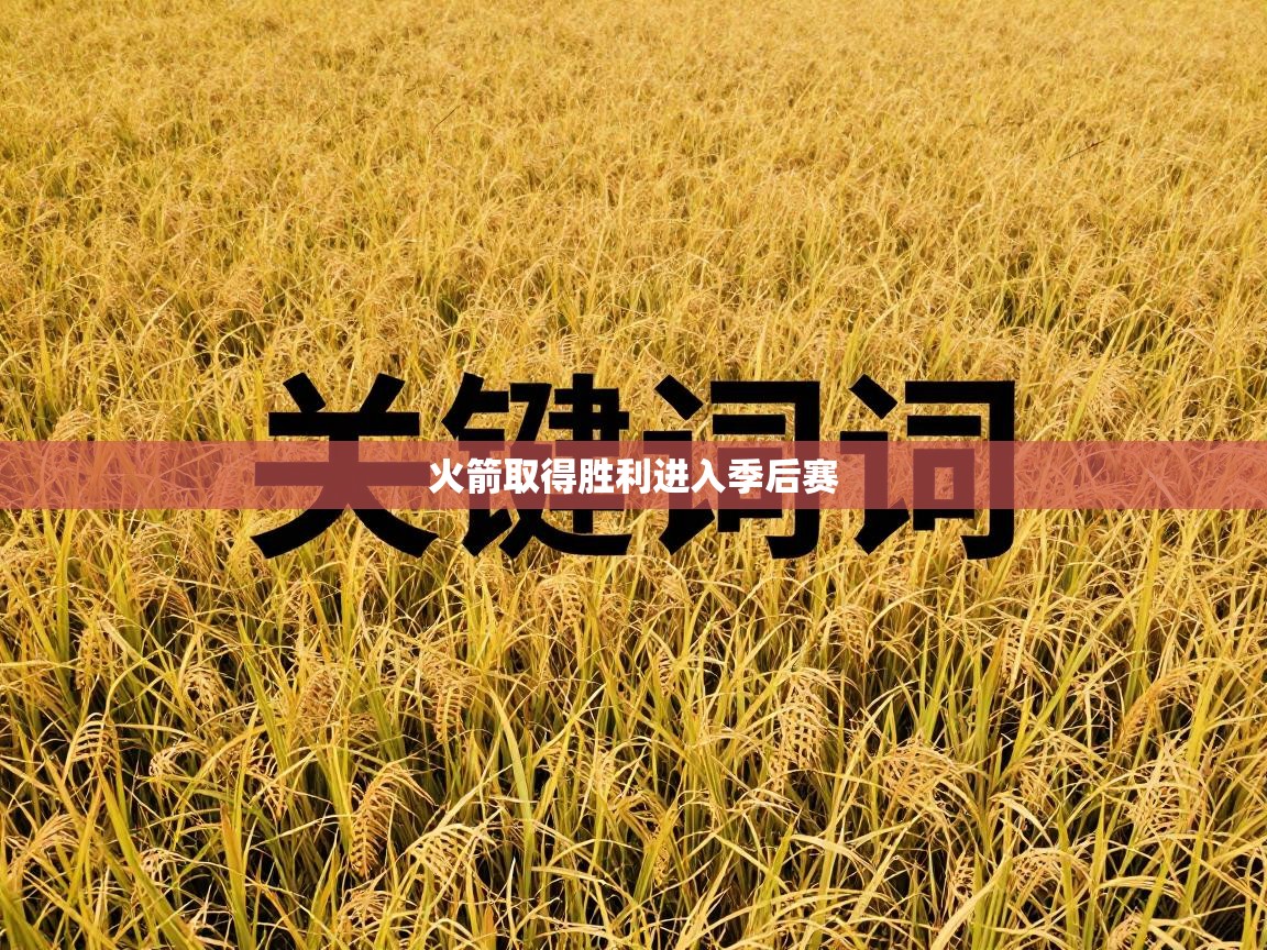 火箭取得胜利进入季后赛  第2张