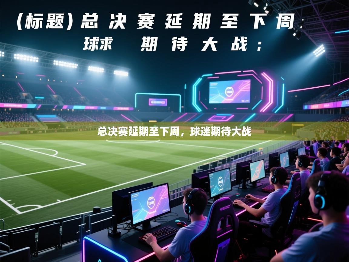 总决赛延期至下周，球迷期待大战  第2张